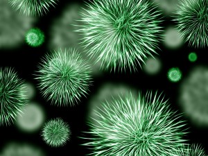 bacteria-426997_1920-992x744