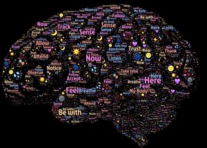 brain and words