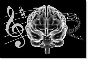 Cerebro, Pentagrama musical
